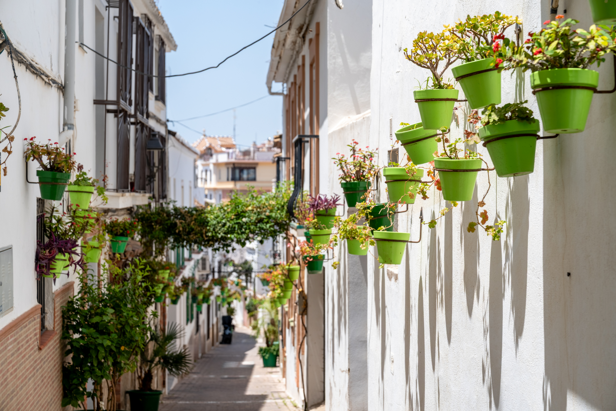 Colorful flower pots hanging on whitewashed walls in a narrow street of Estepona old town, Andalusia.