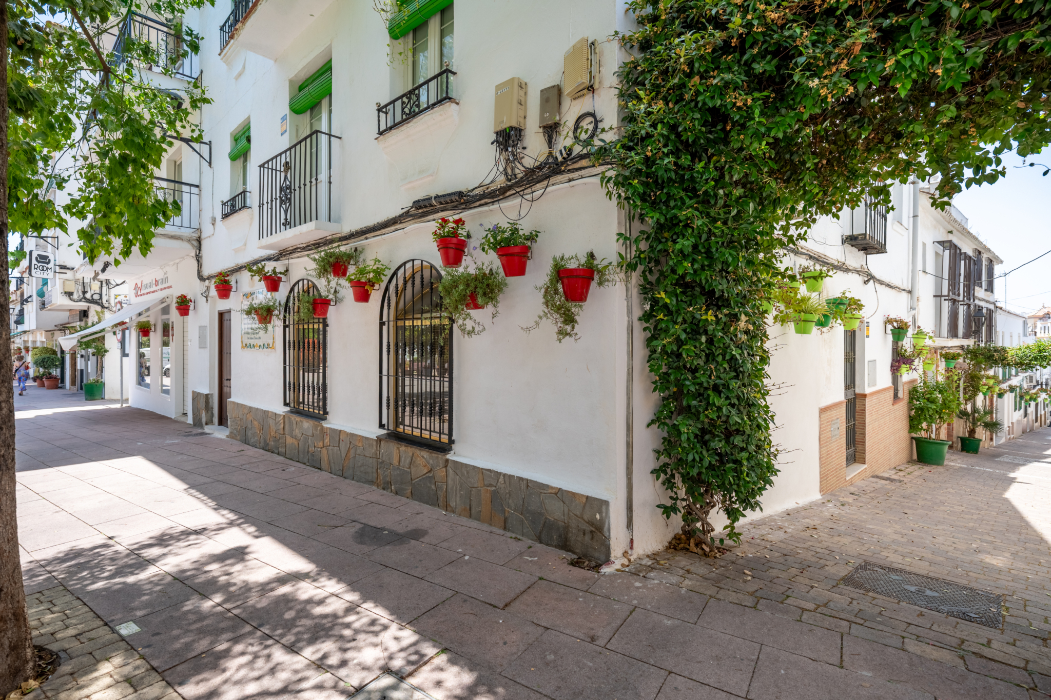 Charming whitewashed street in Estepona with traditional Andalusian architecture and flower pots in Estepona old town.
