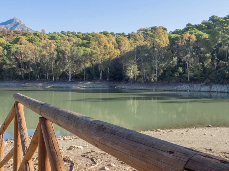 Scenic view of lake and mountains near Nueva Andalucía, Marbella, surrounded by pine forests — a popular area for luxury villas and highly sought-after villas for sale in Nueva Andalucia.
